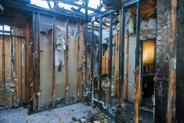 Professional Smoke Damage Removal technician working in Maplewood, MO
